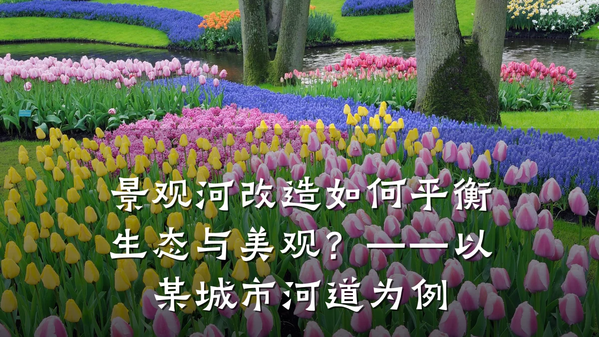 景观河改造如何平衡生态与美观?——以某城市河道为例