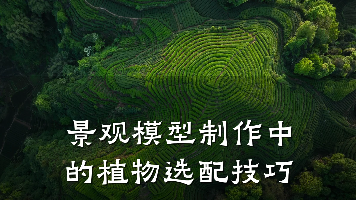 景观模型制作中的植物选配技巧