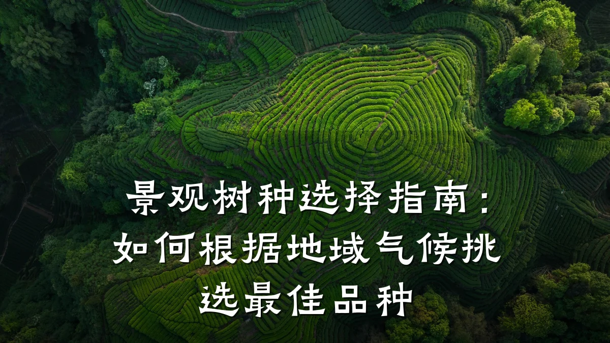 景观树种选择指南:如何根据地域气候挑选最佳品种