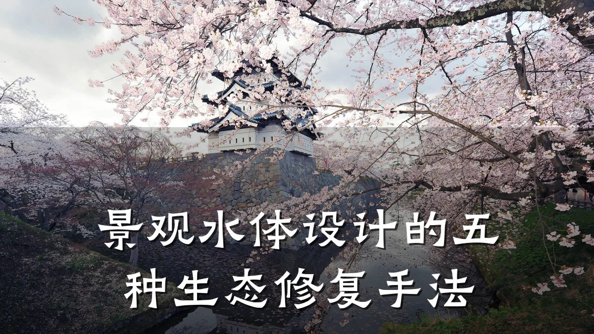 景观水体设计的五种生态修复手法
