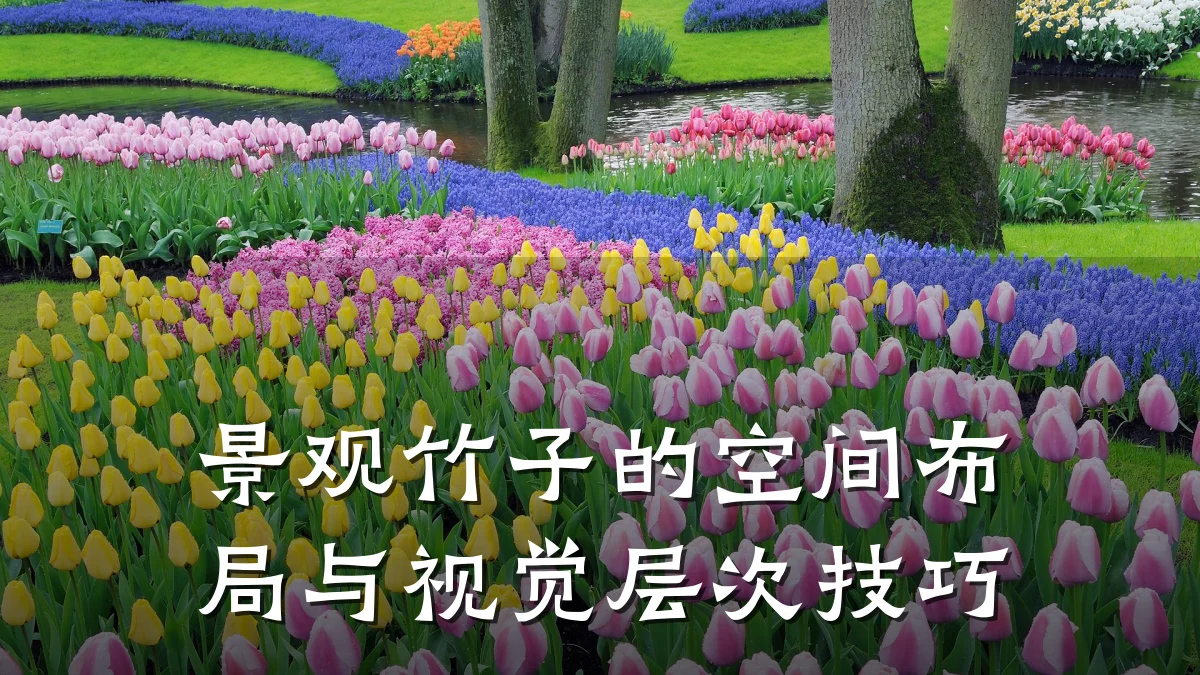 景观竹子的空间布局与视觉层次技巧
