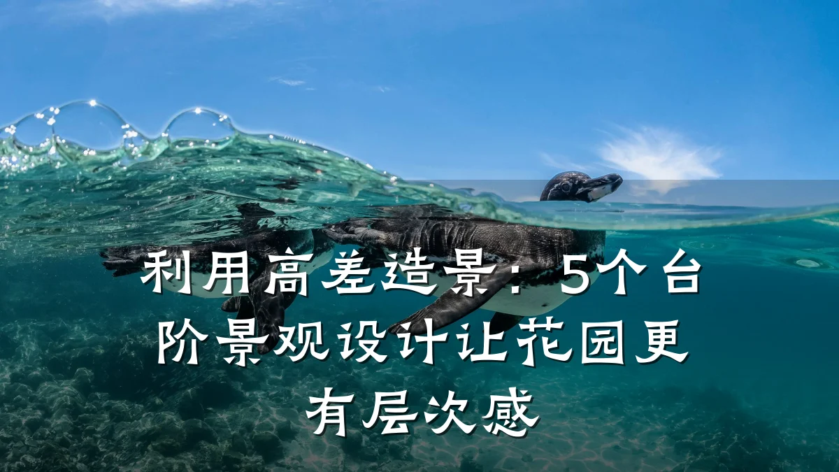 利用高差造景:5个台阶景观设计让花园更有层次感