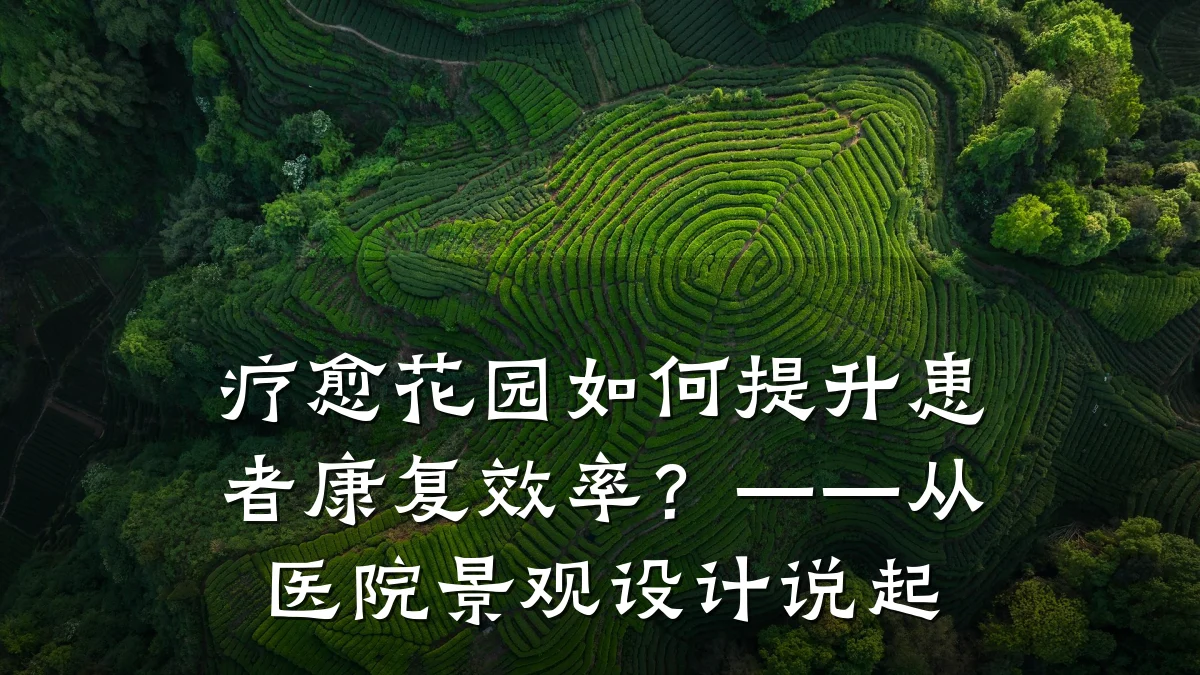 疗愈花园如何提升患者康复效率?——从医院景观设计说起