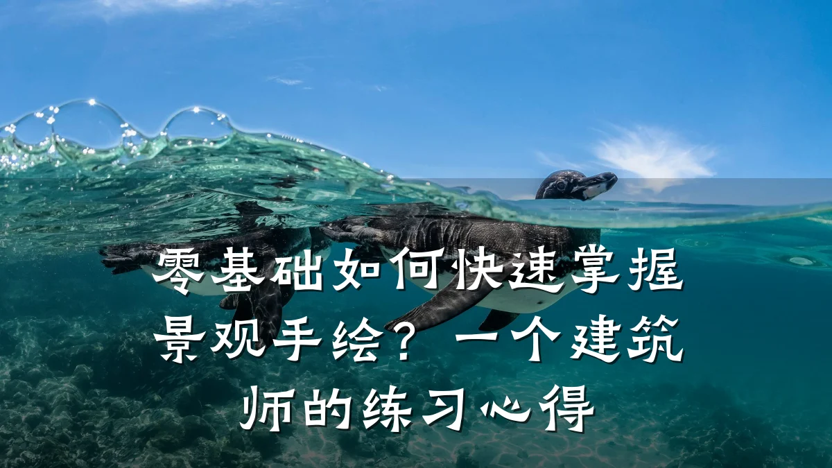 零基础如何快速掌握景观手绘?一个建筑师的练习心得