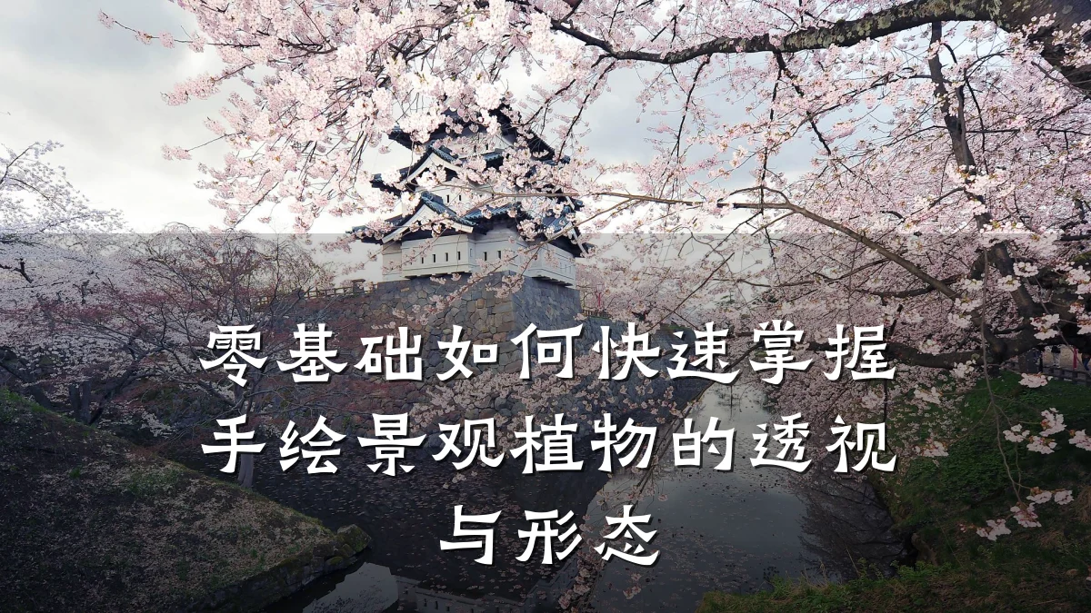 零基础如何快速掌握手绘景观植物的透视与形态