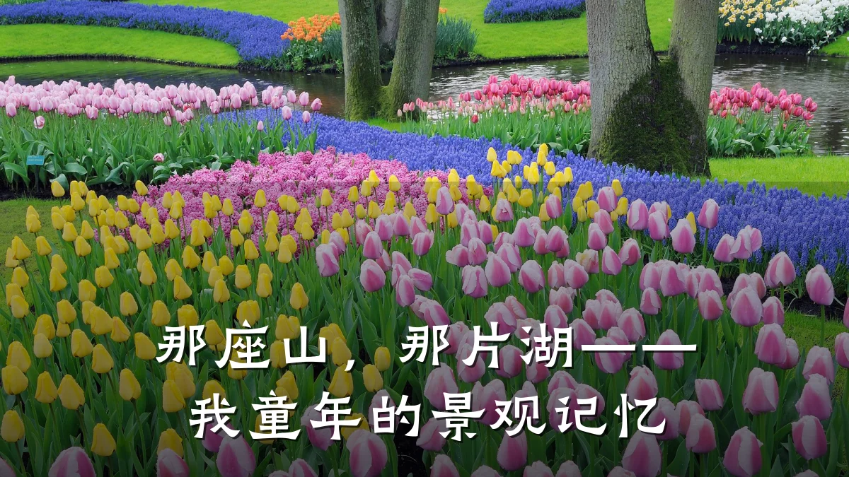 那座山,那片湖——我童年的景观记忆