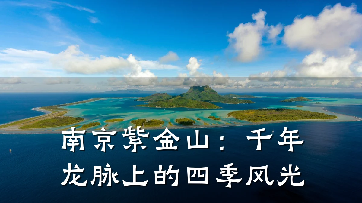 南京紫金山：千年龙脉上的四季风光