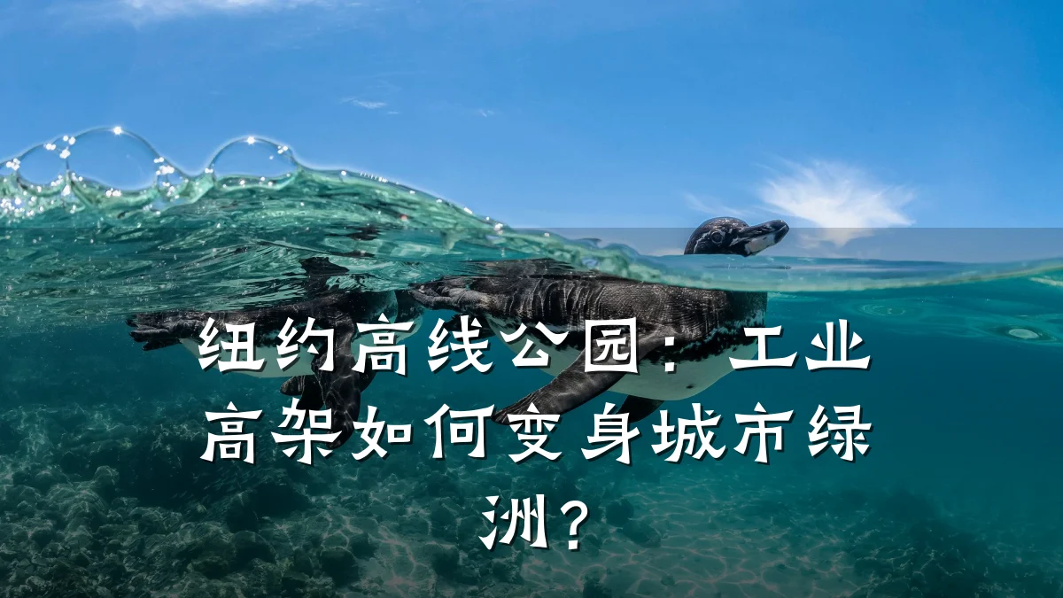 纽约高线公园:工业高架如何变身城市绿洲?
