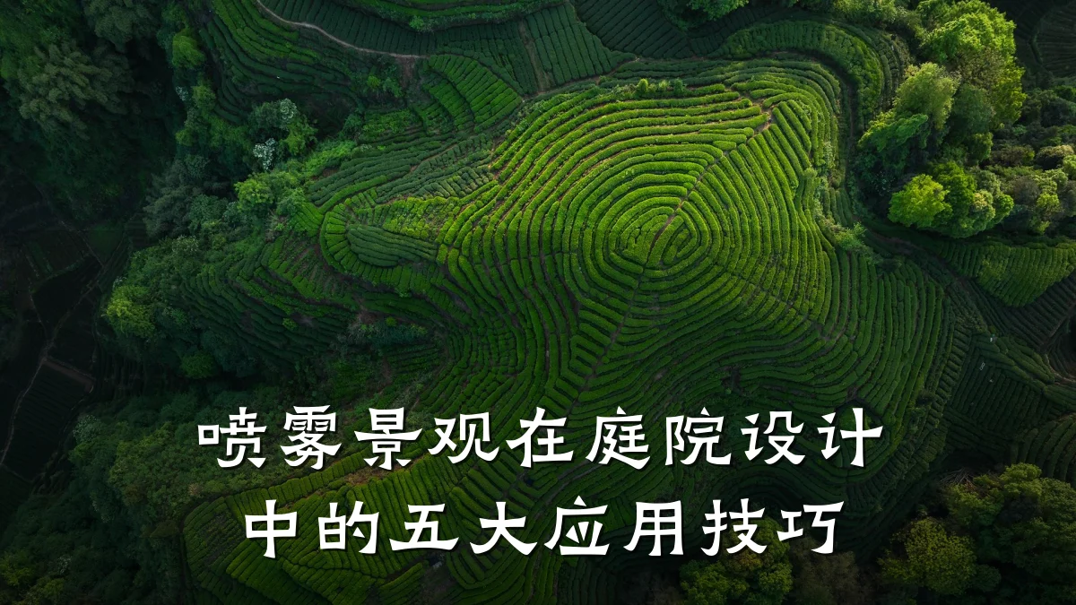 喷雾景观在庭院设计中的五大应用技巧
