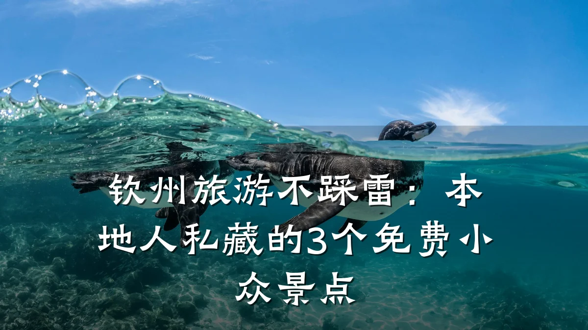 钦州旅游不踩雷：本地人私藏的3个免费小众景点