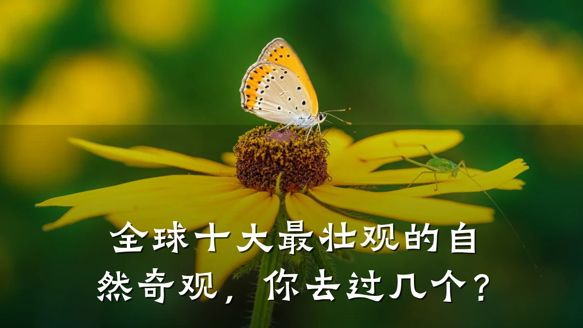 全球十大最壮观的自然奇观,你去过几个?