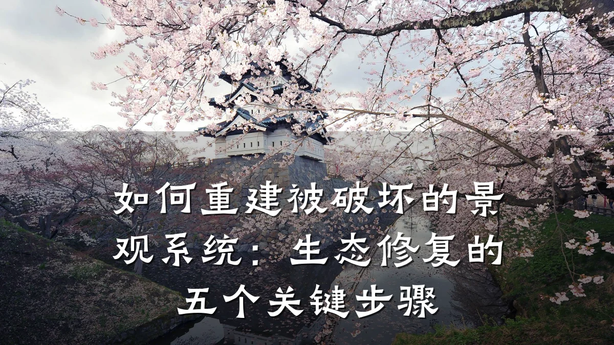 如何重建被破坏的景观系统:生态修复的五个关键步骤