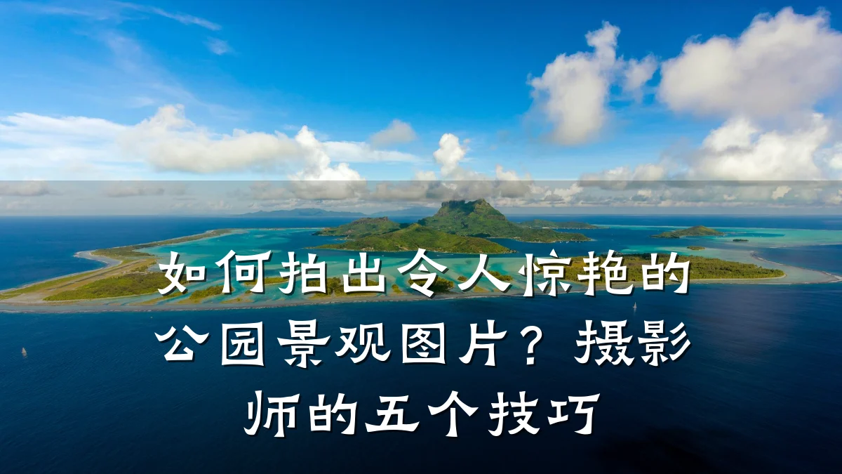 如何拍出令人惊艳的公园景观图片?摄影师的五个技巧
