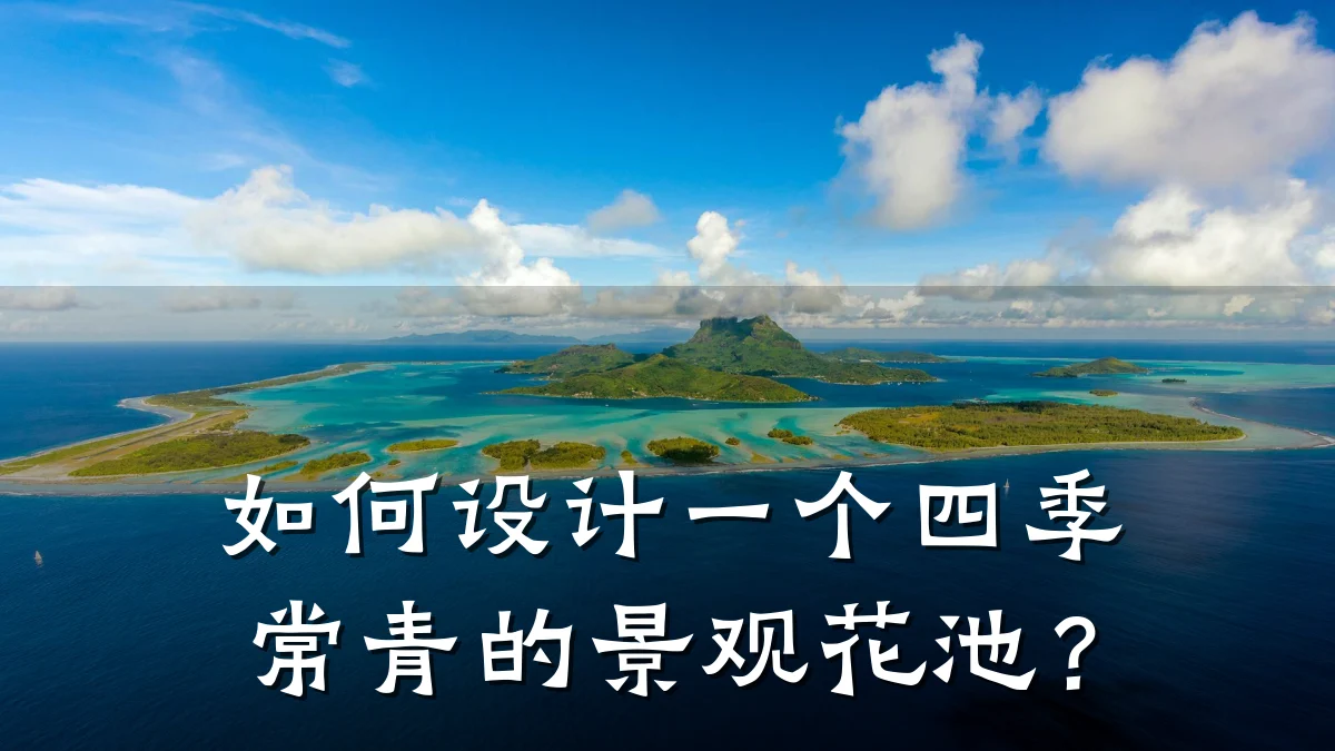 如何设计一个四季常青的景观花池？