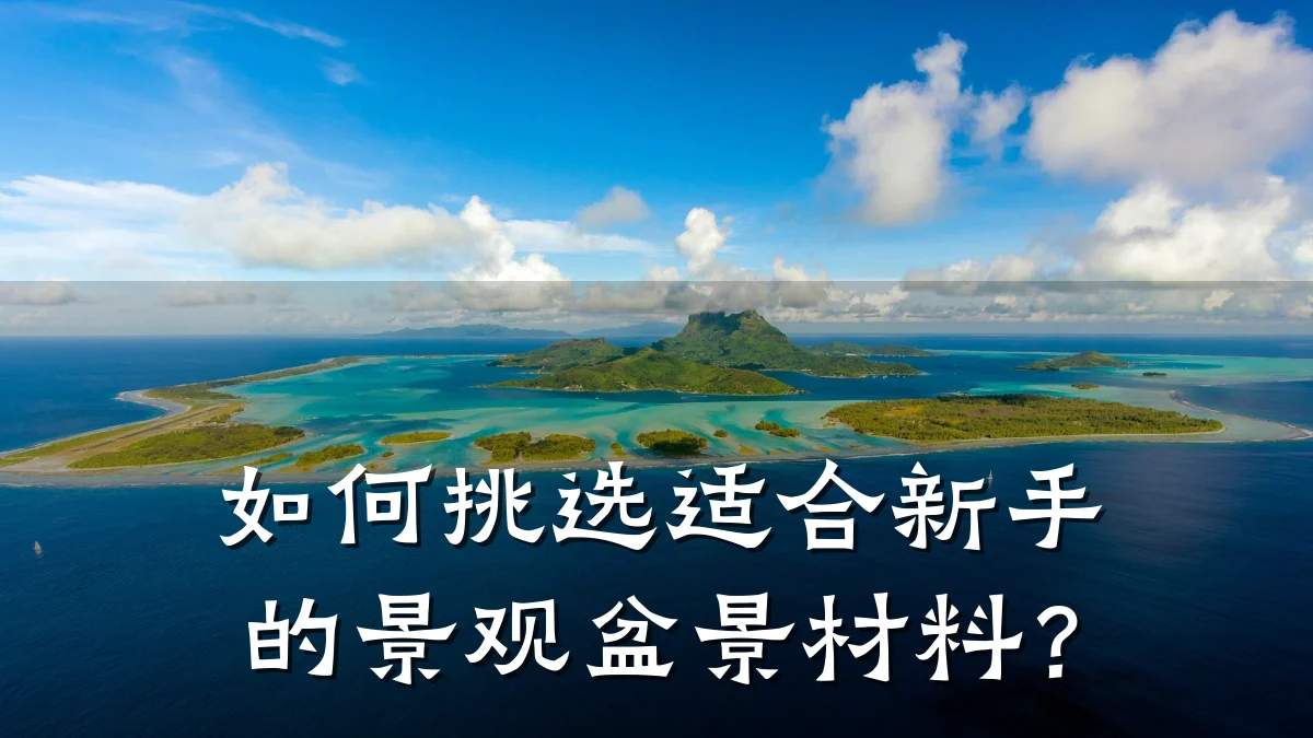 如何挑选适合新手的景观盆景材料？