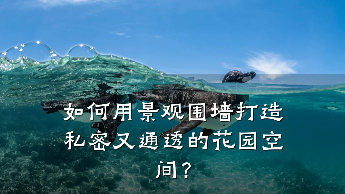如何用景观围墙打造私密又通透的花园空间?
