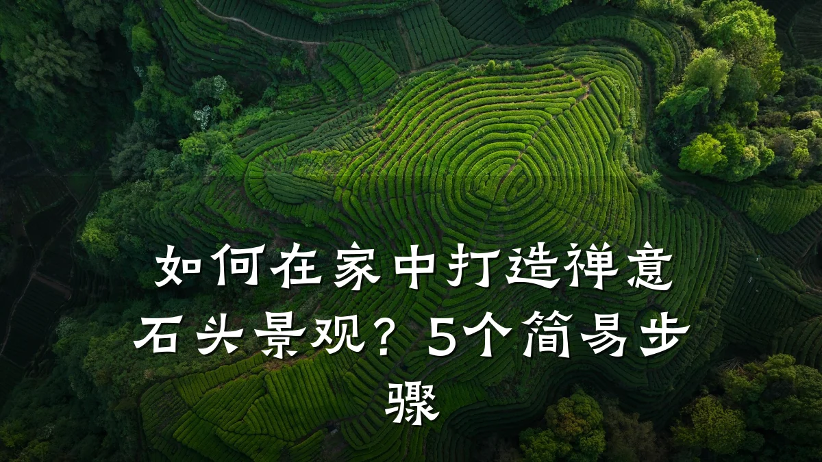 如何在家中打造禅意石头景观？5个简易步骤