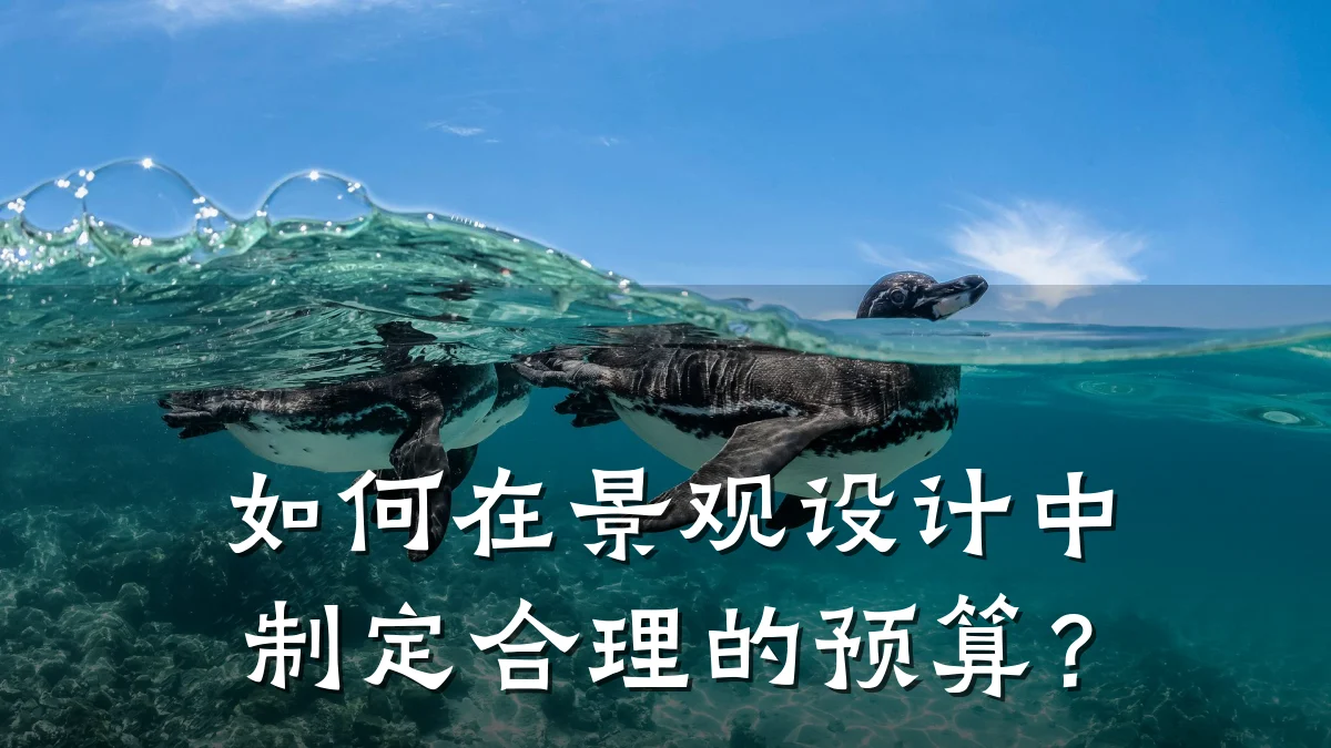 如何在景观设计中制定合理的预算？