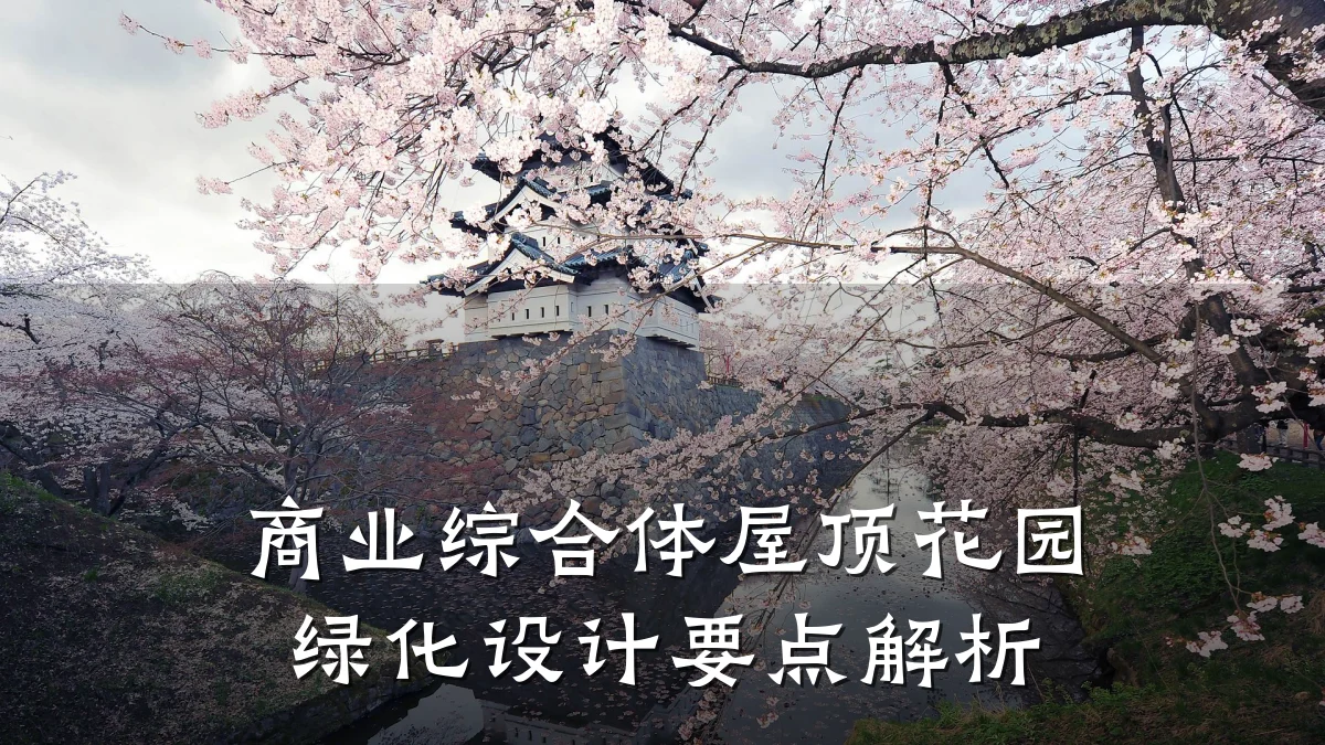 商业综合体屋顶花园绿化设计要点解析