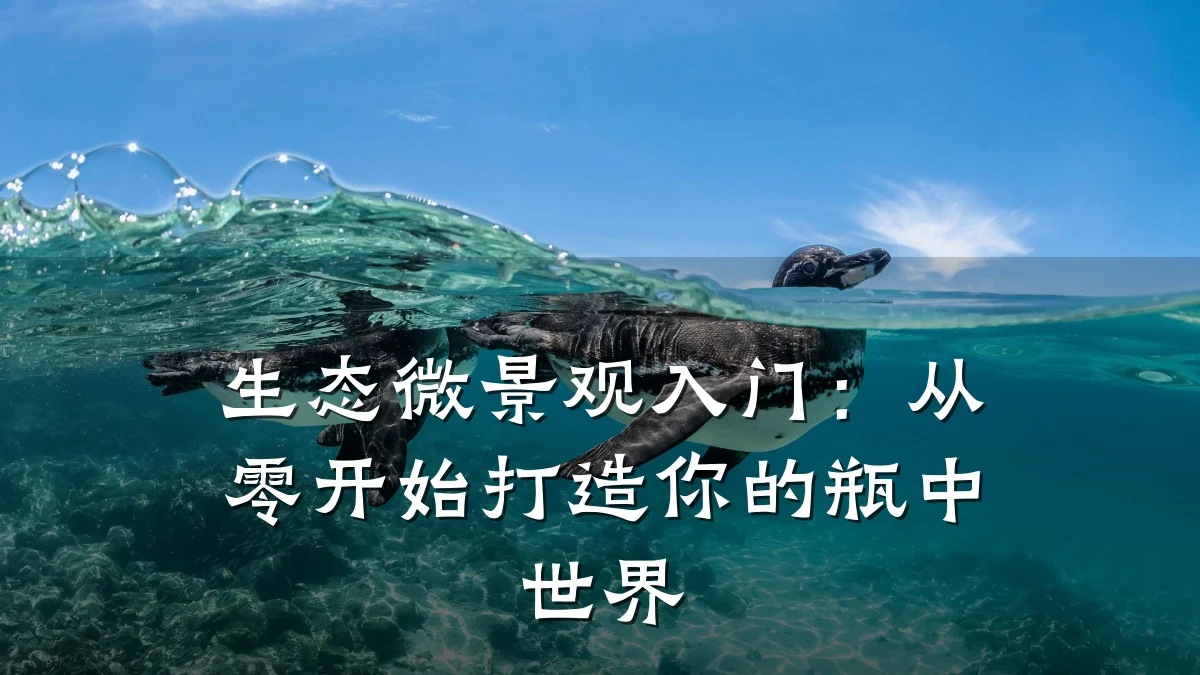 生态微景观入门:从零开始打造你的瓶中世界