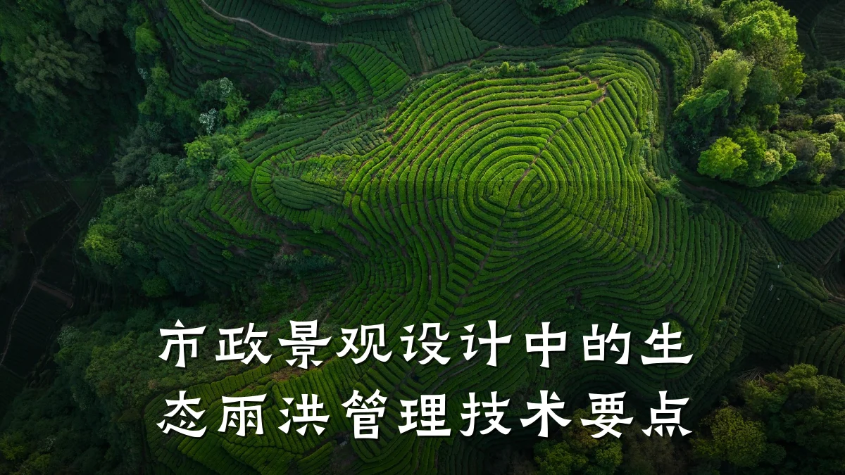 市政景观设计中的生态雨洪管理技术要点