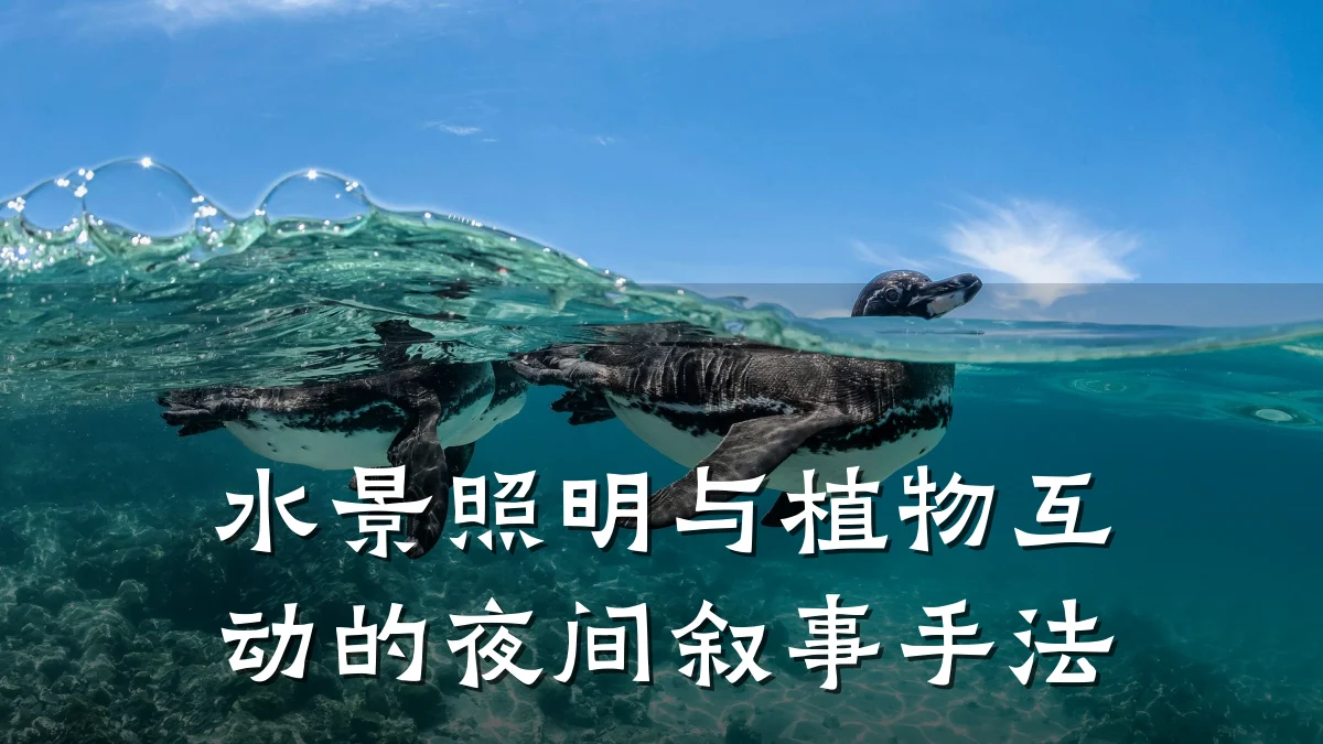 水景照明与植物互动的夜间叙事手法