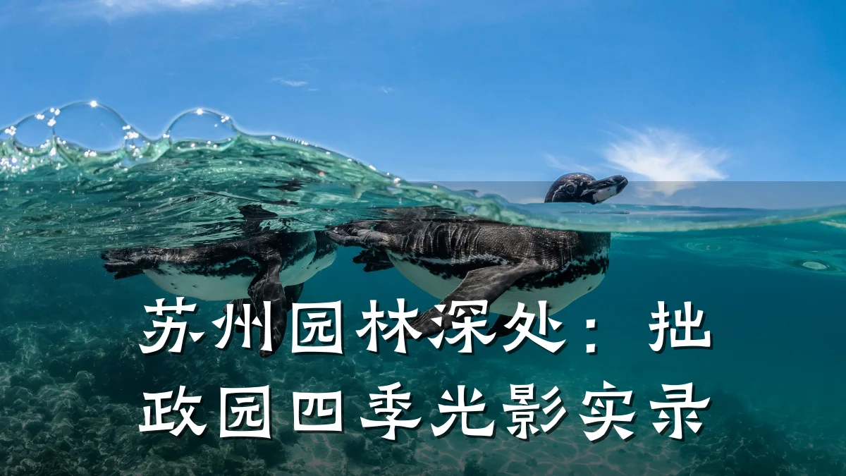苏州园林深处:拙政园四季光影实录