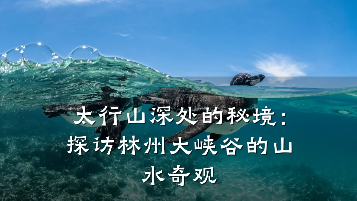 太行山深处的秘境：探访林州大峡谷的山水奇观