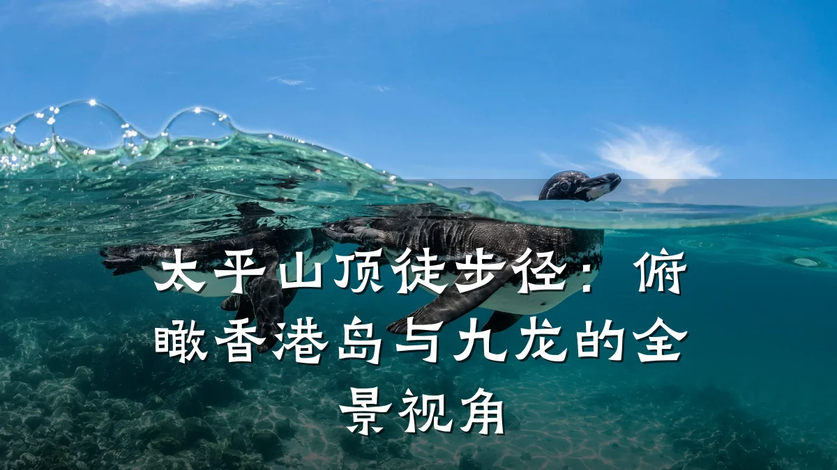 太平山顶徒步径:俯瞰香港岛与九龙的全景视角