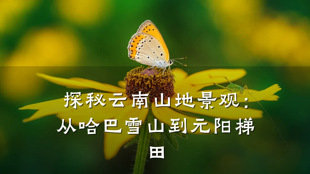 探秘云南山地景观:从哈巴雪山到元阳梯田
