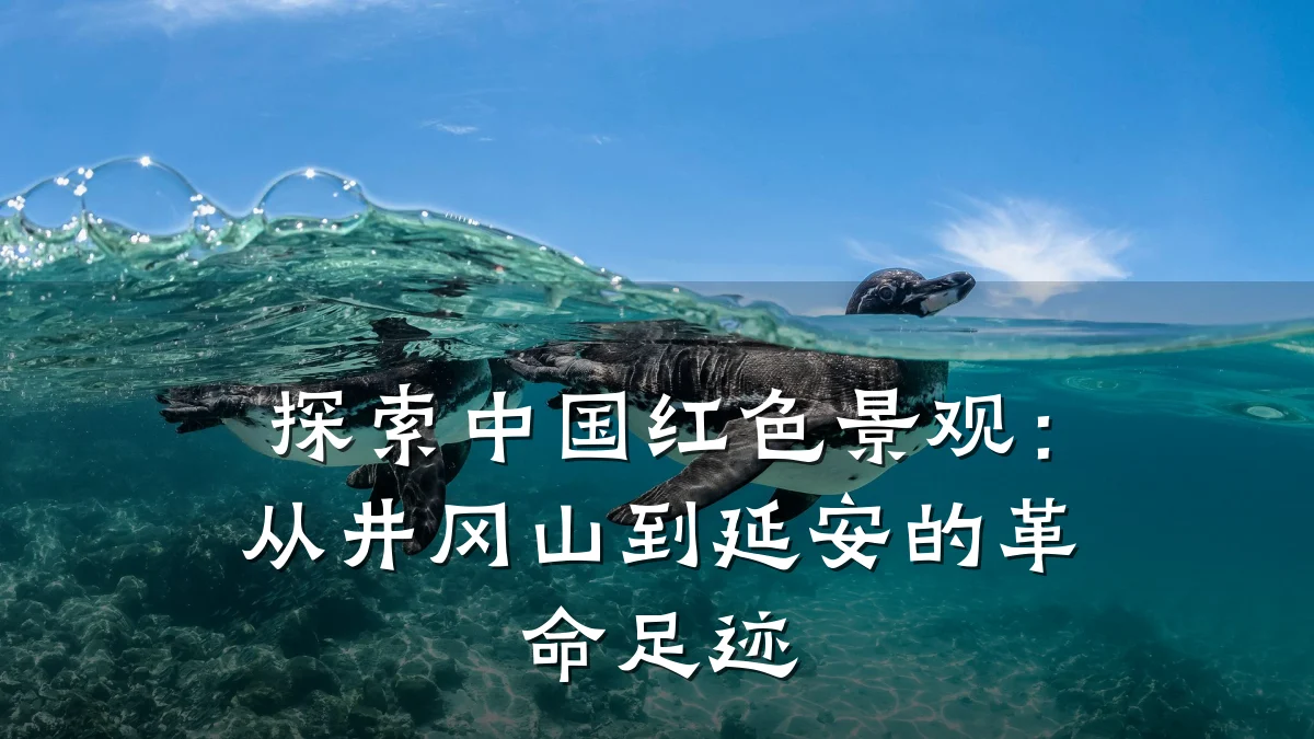 探索中国红色景观:从井冈山到延安的革命足迹