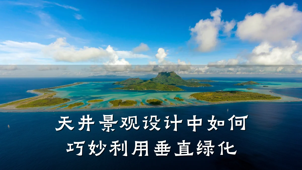 天井景观设计中如何巧妙利用垂直绿化