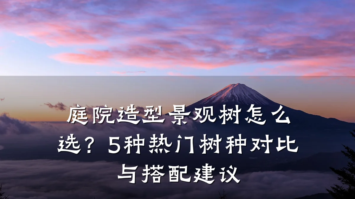 庭院造型景观树怎么选?5种热门树种对比与搭配建议