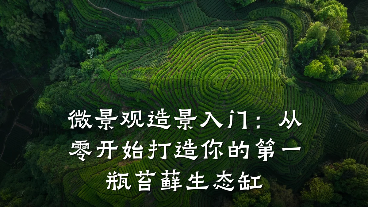 微景观造景入门:从零开始打造你的第一瓶苔藓生态缸