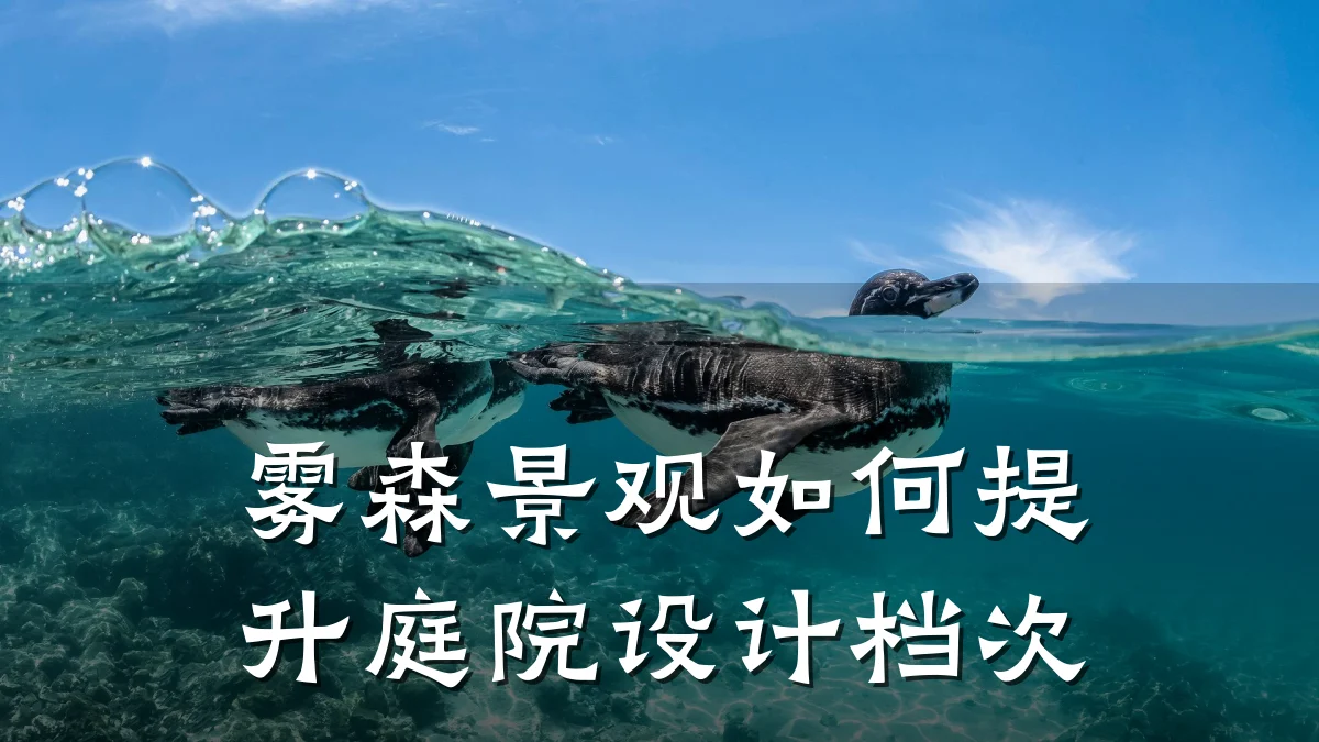 雾森景观如何提升庭院设计档次