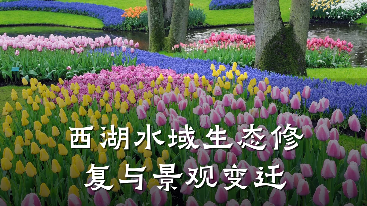 西湖水域生态修复与景观变迁