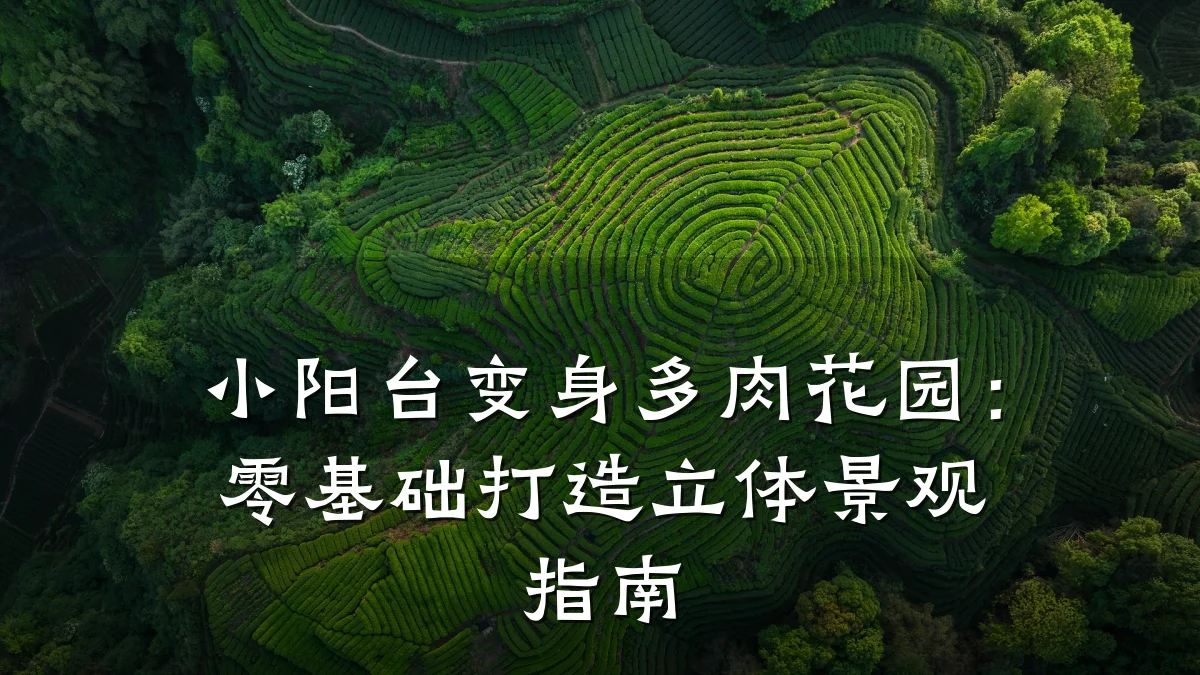 小阳台变身多肉花园:零基础打造立体景观指南