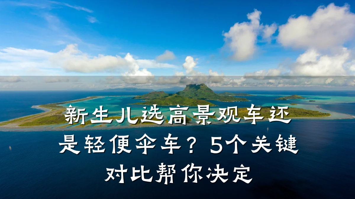 新生儿选高景观车还是轻便伞车?5个关键对比帮你决定