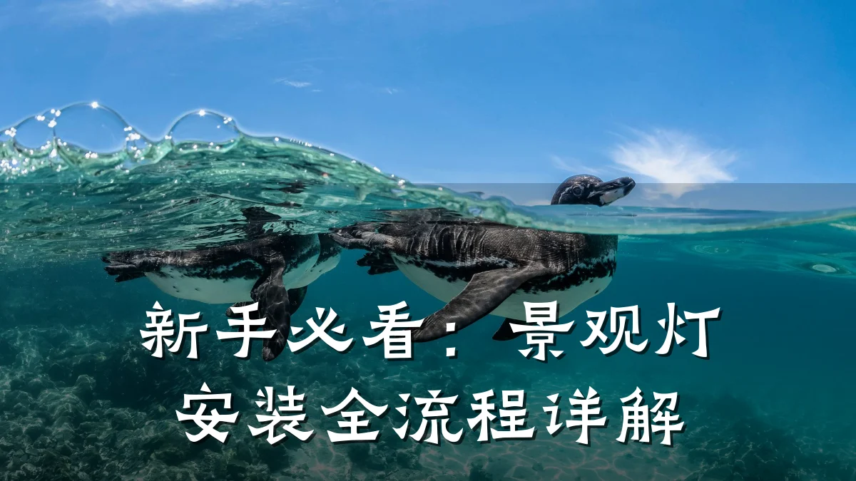 新手必看：景观灯安装全流程详解