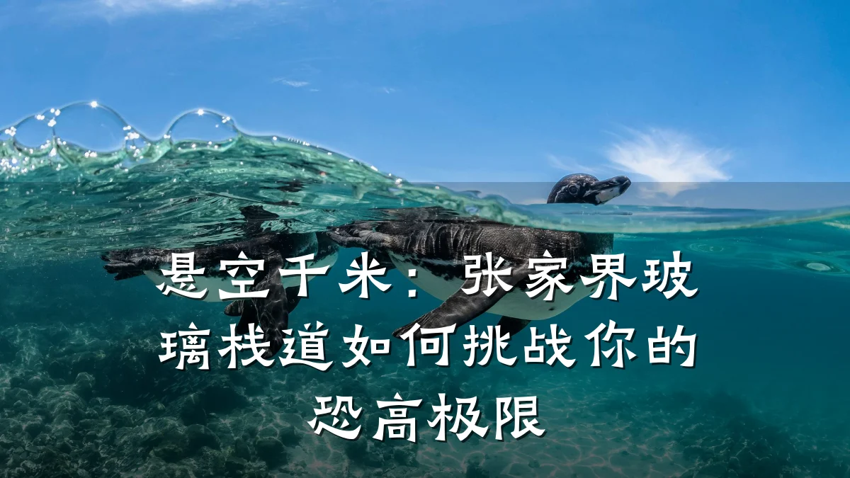 悬空千米:张家界玻璃栈道如何挑战你的恐高极限
