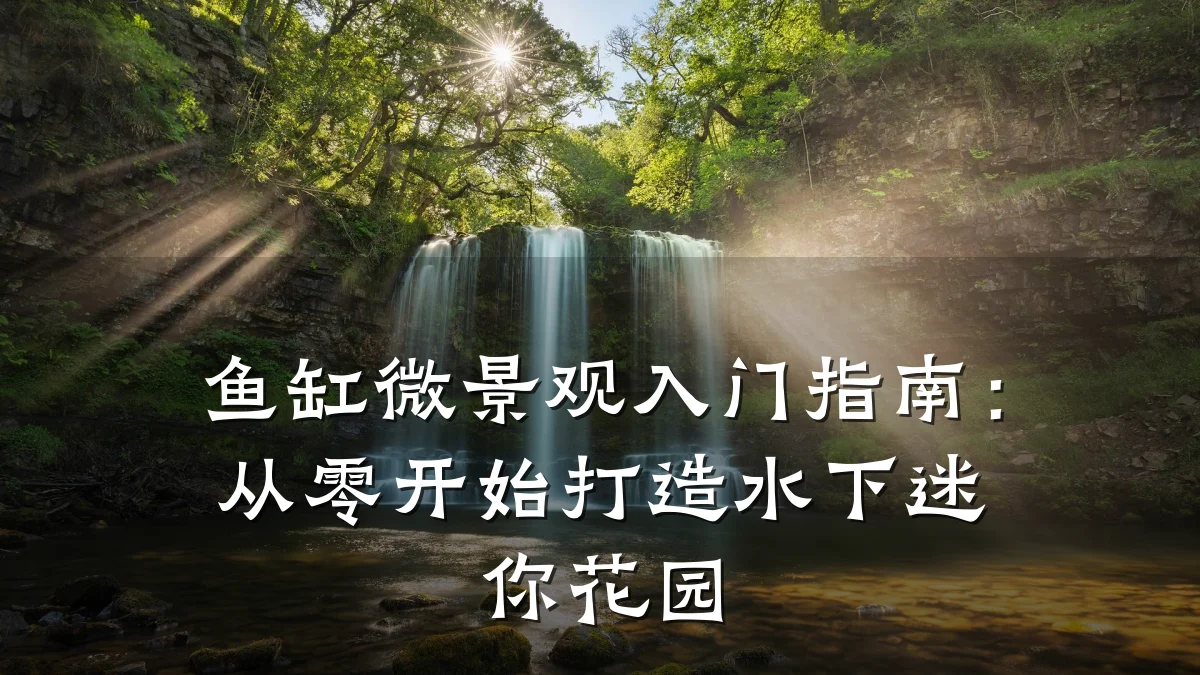 鱼缸微景观入门指南:从零开始打造水下迷你花园