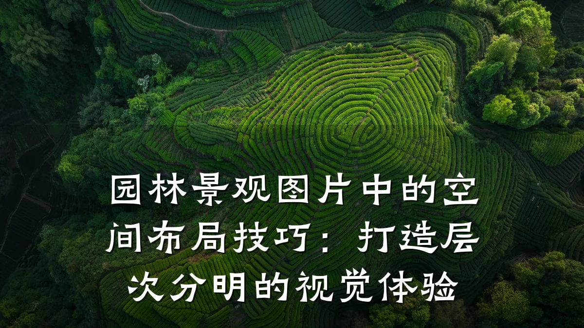 园林景观图片中的空间布局技巧：打造层次分明的视觉体验
