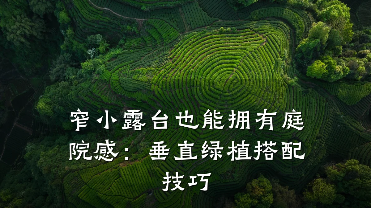 窄小露台也能拥有庭院感:垂直绿植搭配技巧