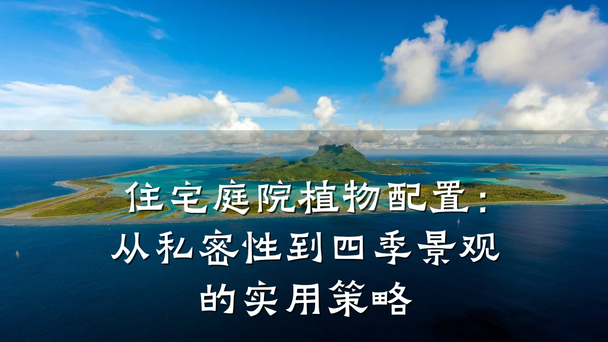 住宅庭院植物配置:从私密性到四季景观的实用策略