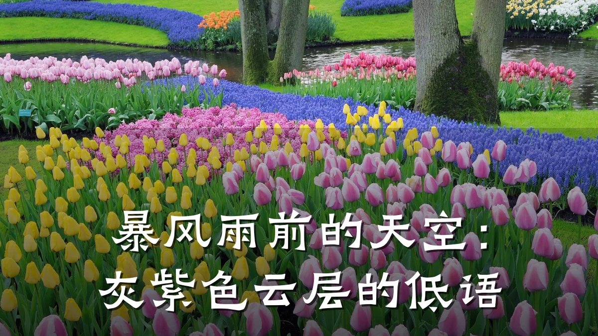 暴风雨前的天空:灰紫色云层的低语