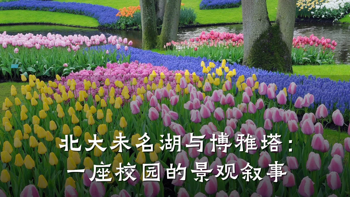 北大未名湖与博雅塔:一座校园的景观叙事