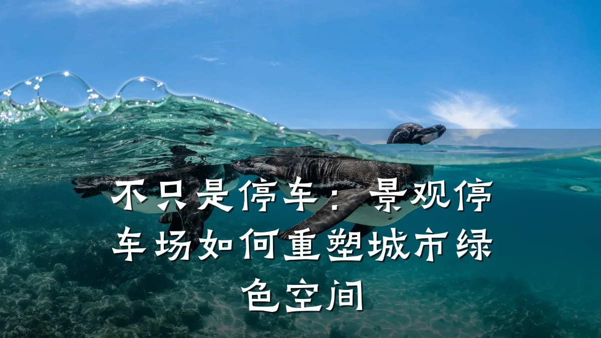 不只是停车:景观停车场如何重塑城市绿色空间