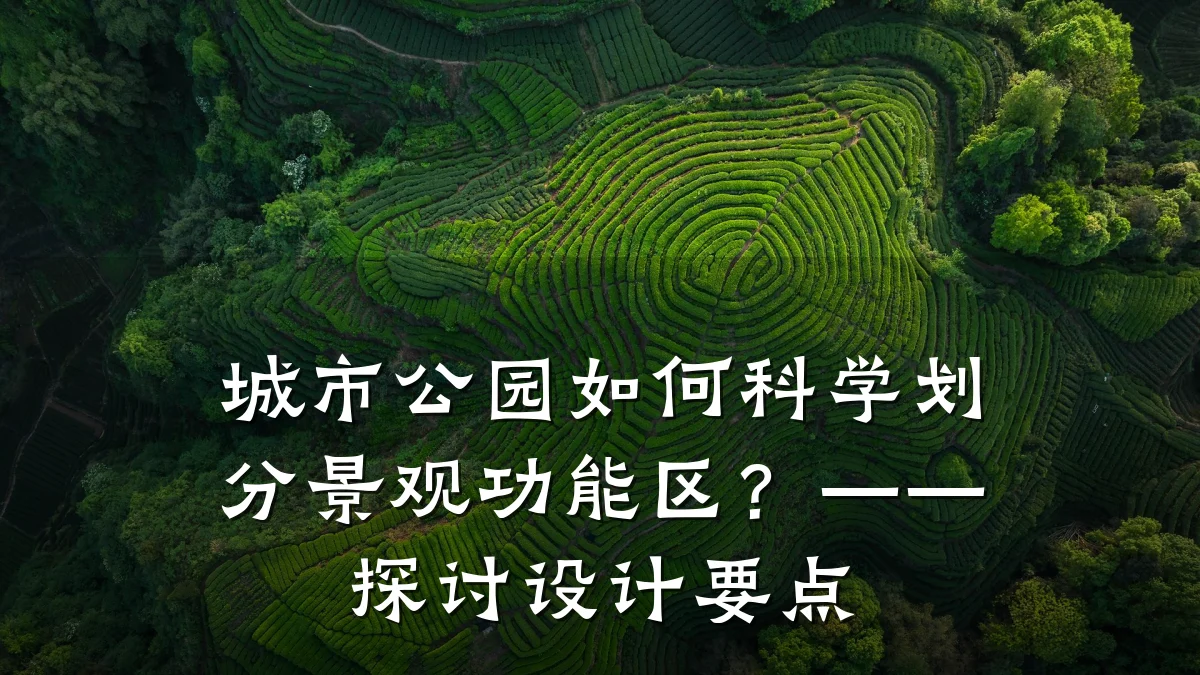 城市公园如何科学划分景观功能区？——探讨设计要点