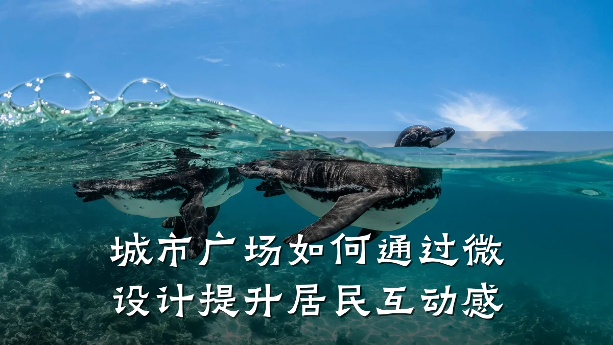 城市广场如何通过微设计提升居民互动感