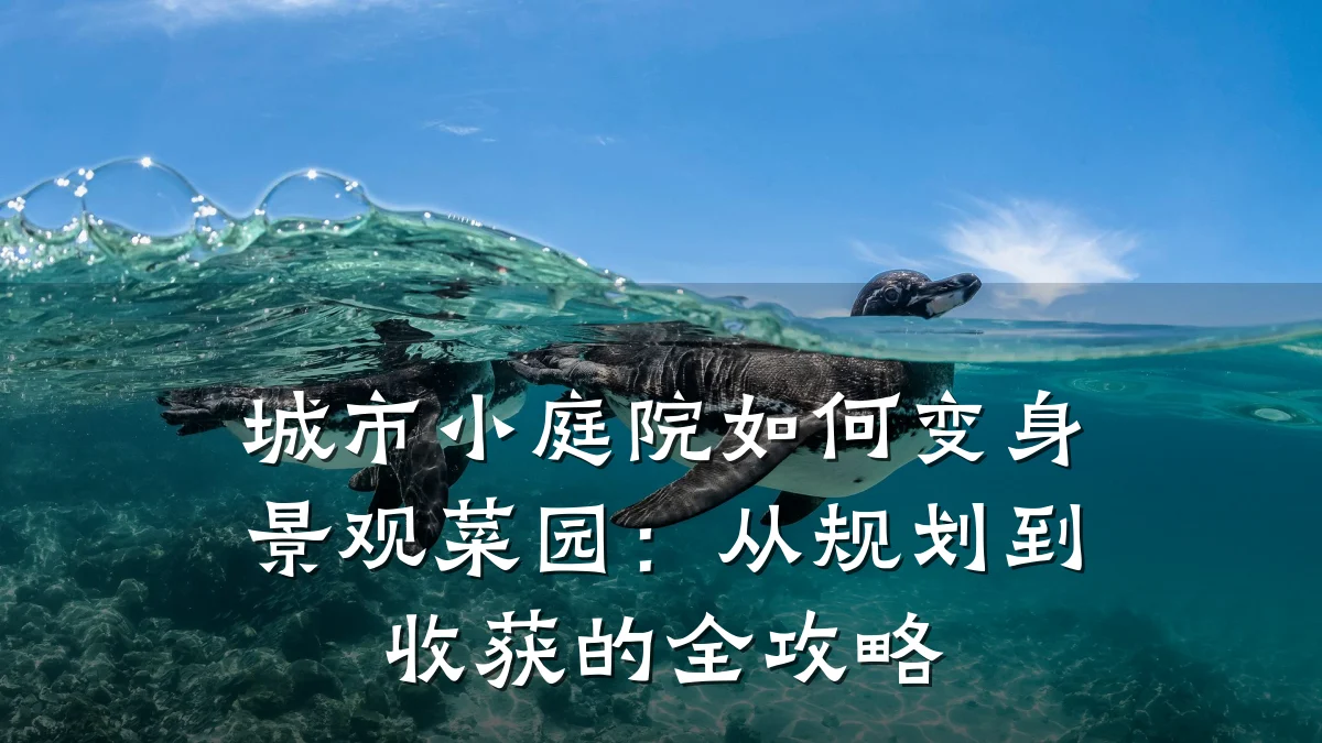 城市小庭院如何变身景观菜园:从规划到收获的全攻略